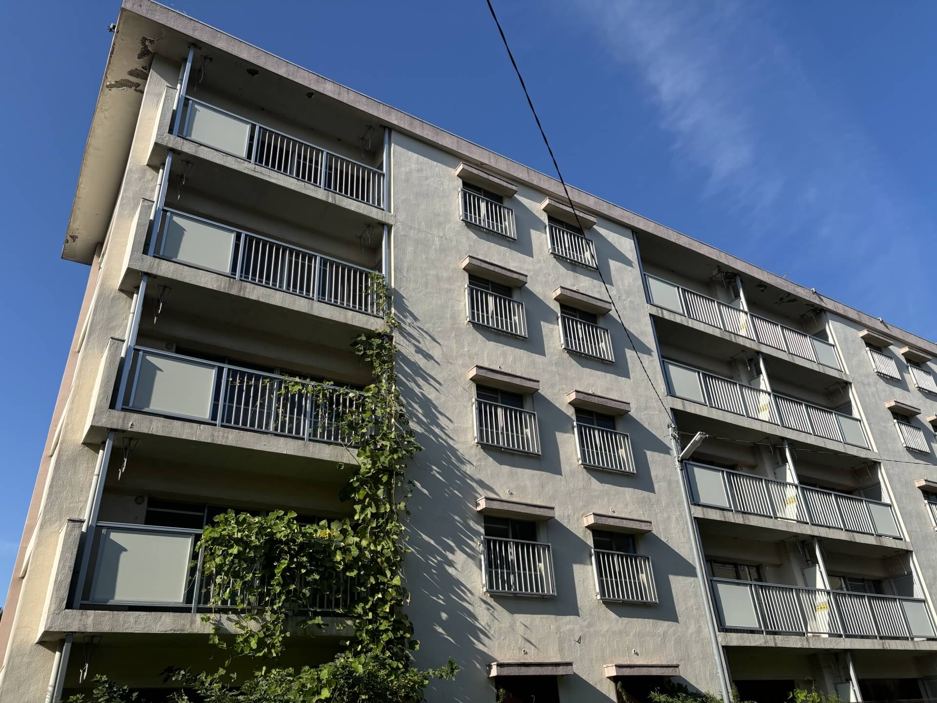 リフォームイメージ1